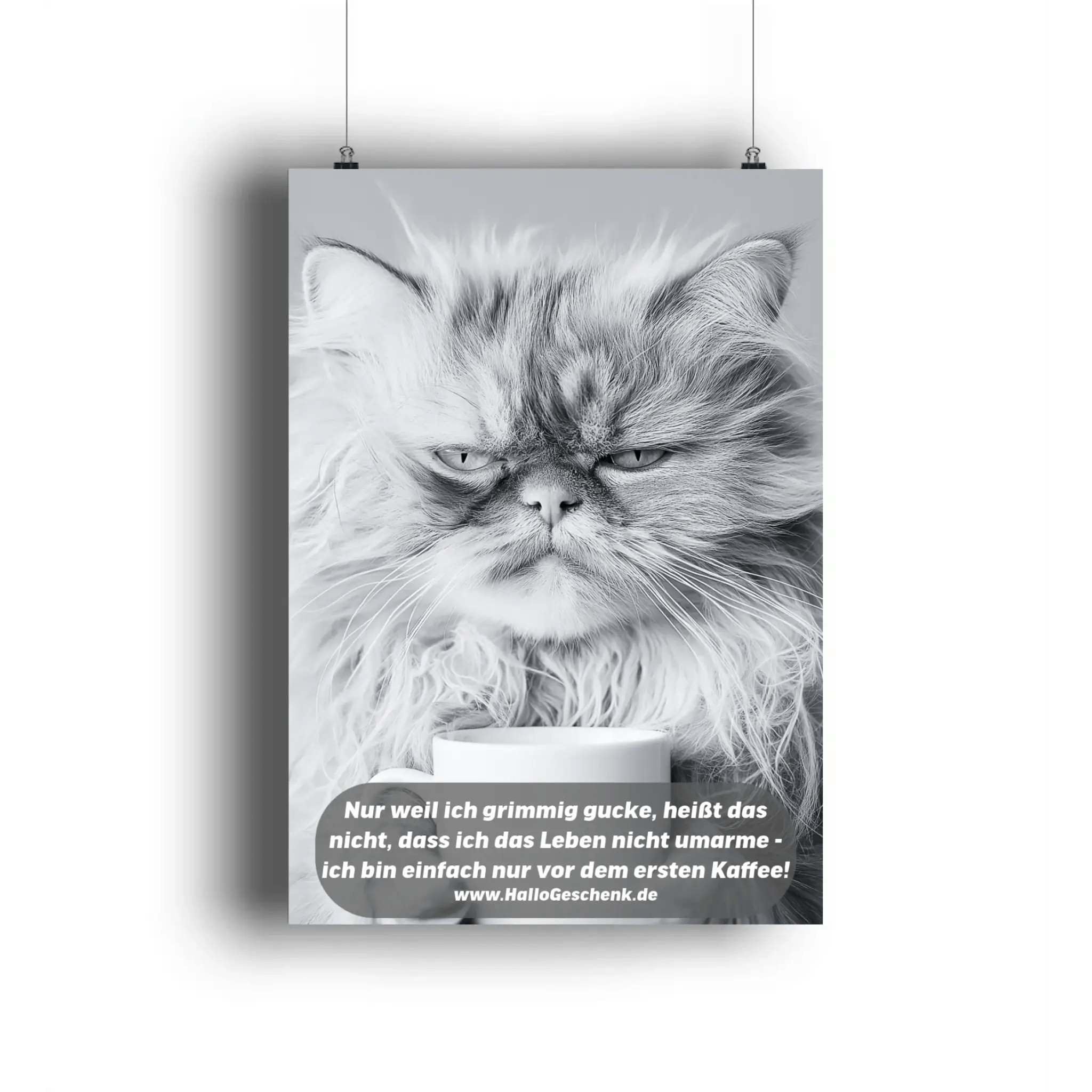 Sprüche von HalloGeschenk.de als Poster DIN A3 oder A4