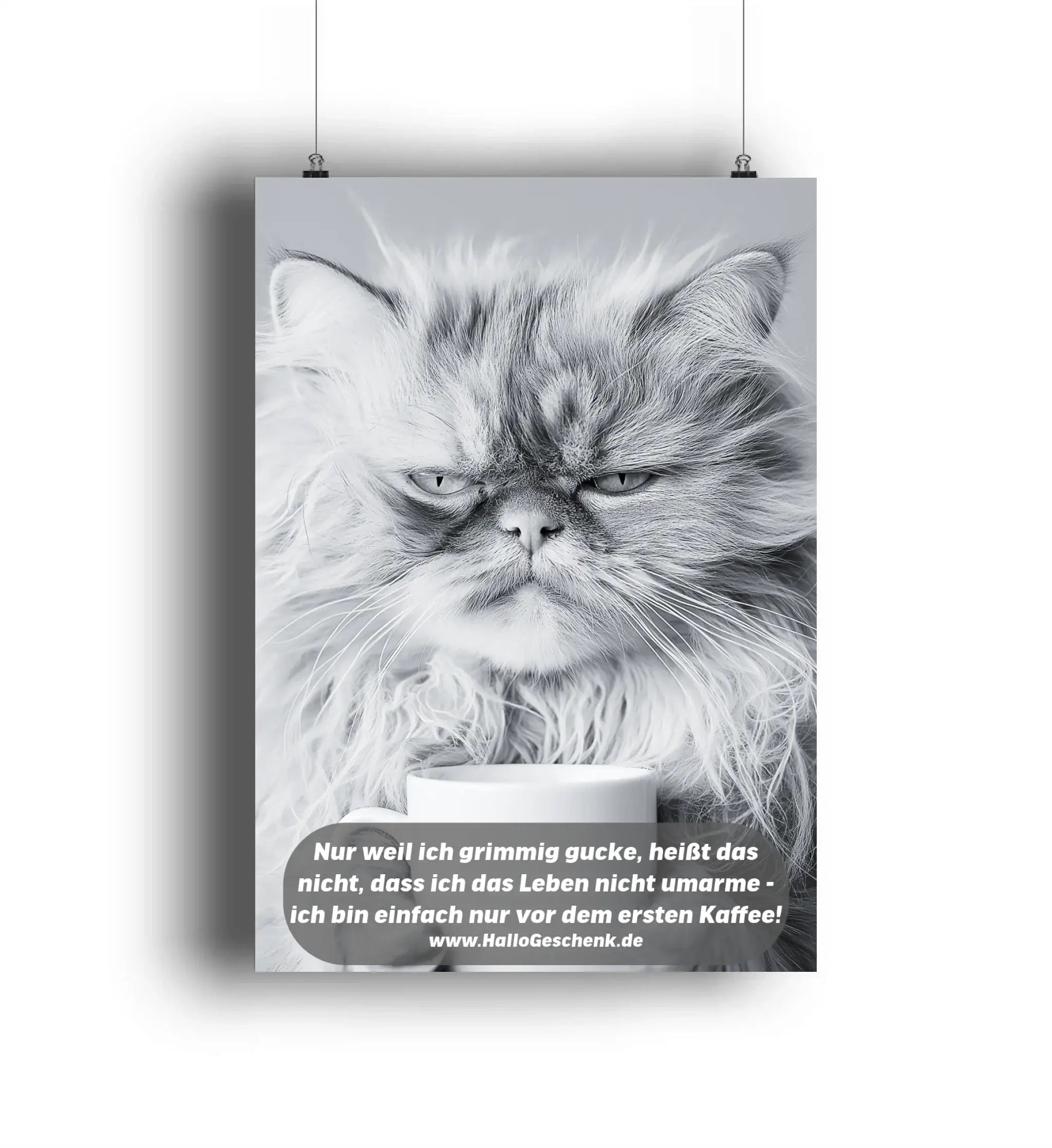 Sprüche von HalloGeschenk.de als Poster DIN A3 oder A4