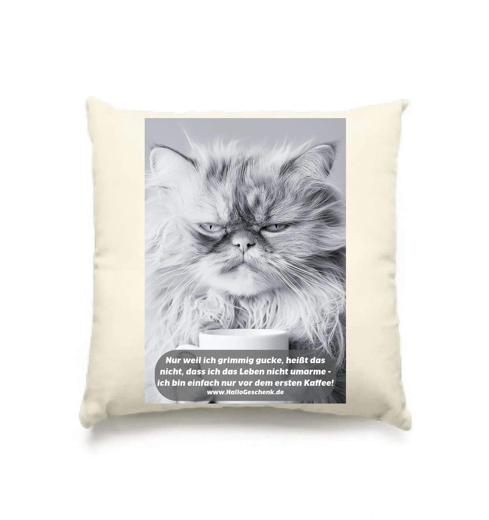 Sprüche von HalloGeschenk.de • Kissen 40x40 cm