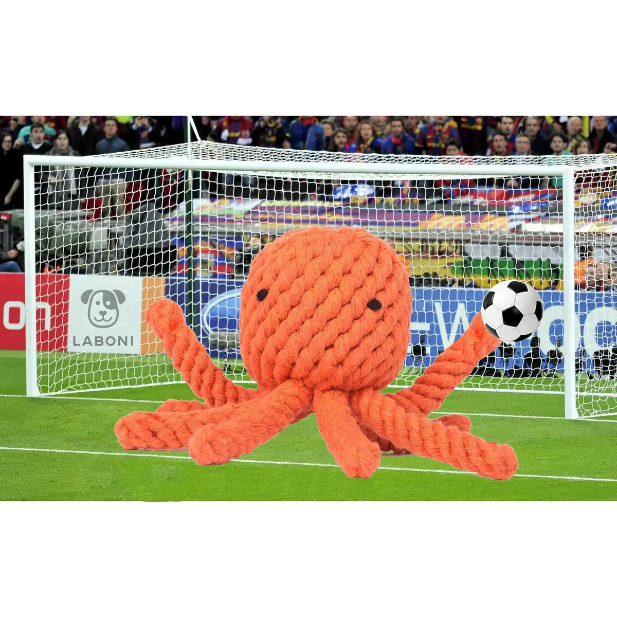 Thaddäus Tintenfisch - Kult-Spielzeug für Hunde