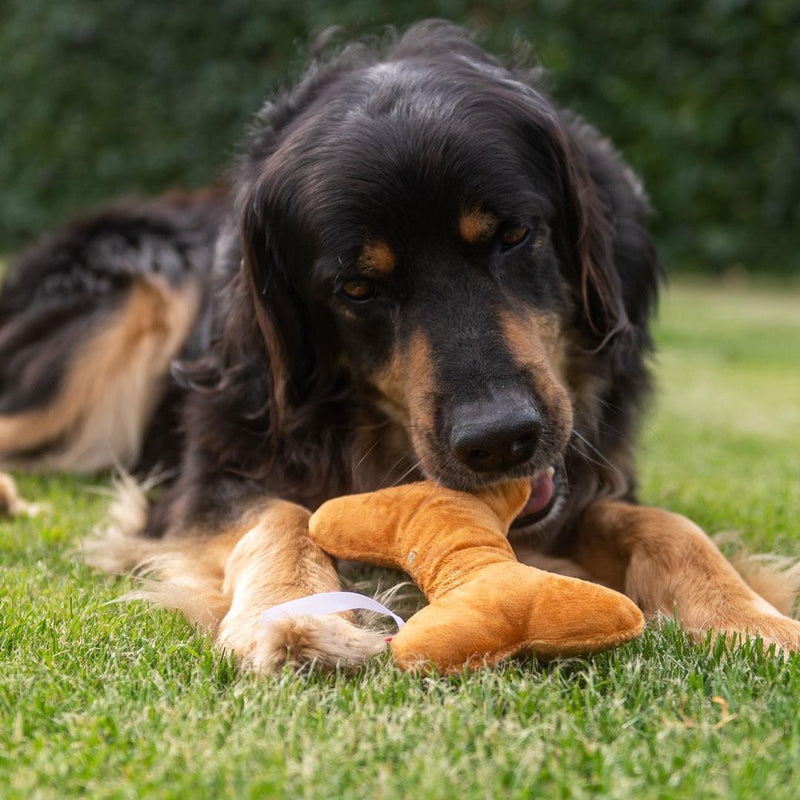 Hundespielzeug