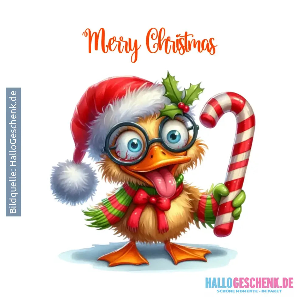 8in1-Kollektion: X-mas Sweet Ducks • 27 Motive zur Auswahl • Merry Christmas • Weihnachten + Wunschtext