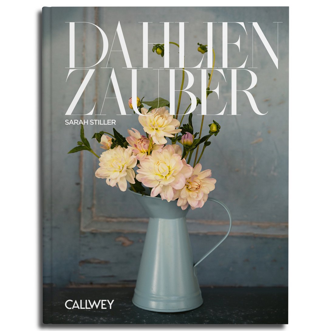 Dahlienzauber