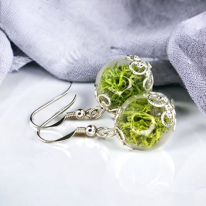 Echte Moos Ohrringe - 925 Sterling Silber Schmuck - Botanische Terrarium Ohrhänger - OHR925-10