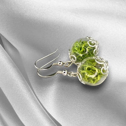 Echte Moos Ohrringe - 925 Sterling Silber Schmuck - Botanische Terrarium Ohrhänger - OHR925-10