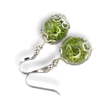 Echte Moos Ohrringe - 925 Sterling Silber Schmuck - Botanische Terrarium Ohrhänger - OHR925-10