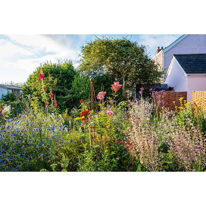 Ich träume von einem Cottage Garten. Verliebt in Rittersporn, Phlox & Fingerhut