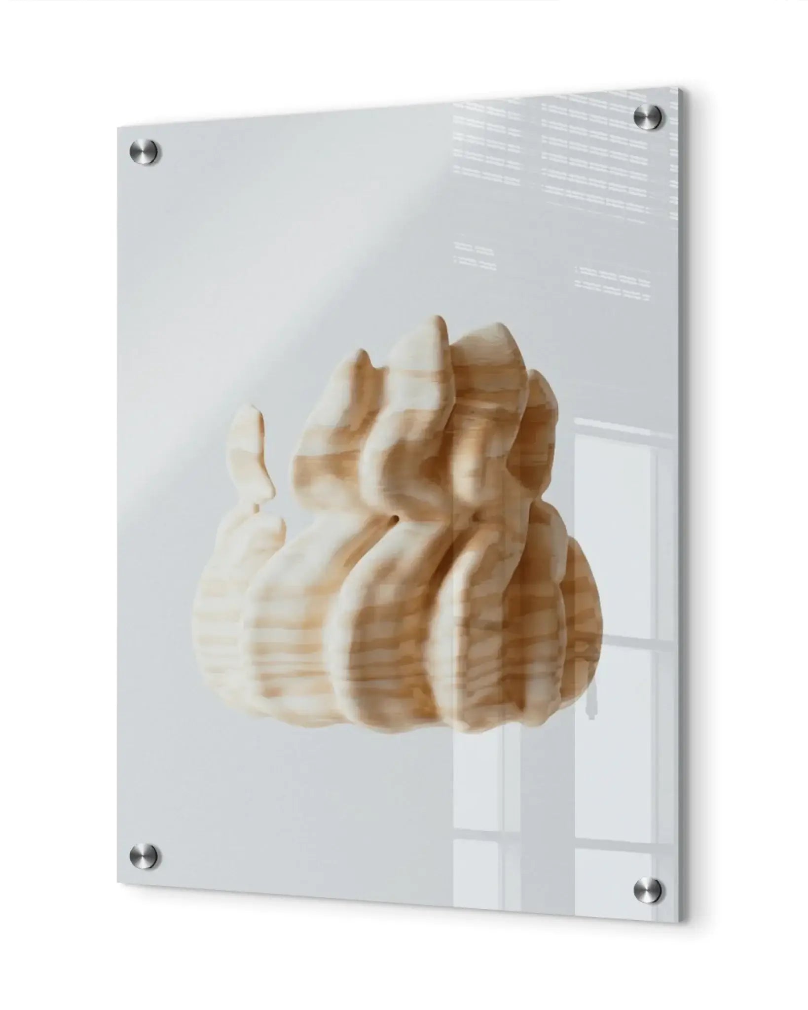 Ein acrylbild freches duo mit einer licht holzfarbenen, kunstvoll geschnitzten muschel auf klarem acrylglas display panel