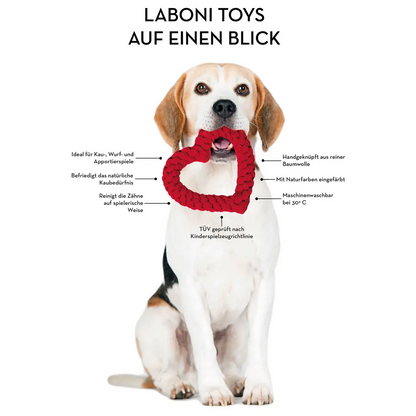 Ahoy LABONI - Spielzeug-Set für Hunde