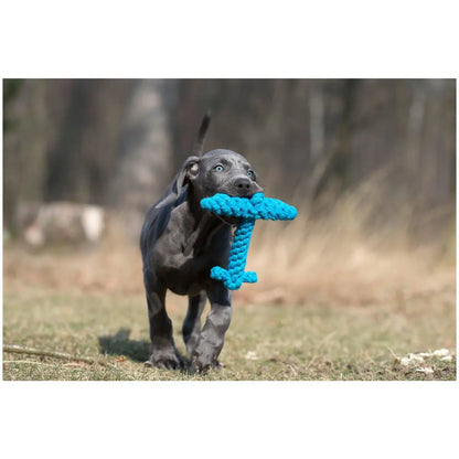 Ahoy LABONI - Spielzeug-Set für Hunde