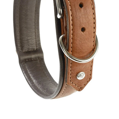 AMICI Cognac - Stilvolles Nappa-Halsband für modebewusste Hundefreunde