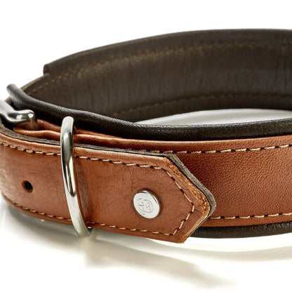 AMICI Cognac - Stilvolles Nappa-Halsband für modebewusste Hundefreunde