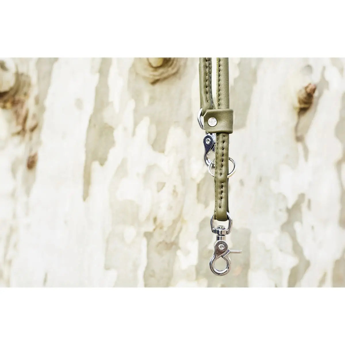 AMICI Dark Green - Elegante Rundleine für modebewusste Hundefreunde
