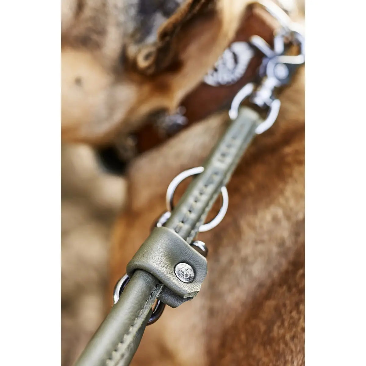 AMICI Dark Green - Elegante Rundleine für modebewusste Hundefreunde