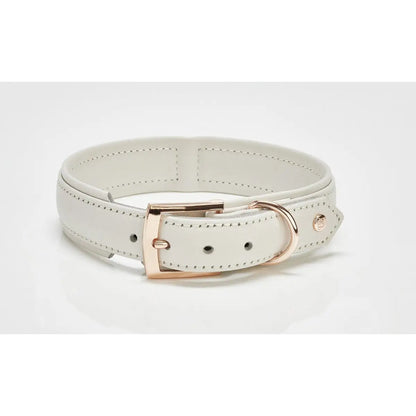 AMICI Dog Collar Light Grey