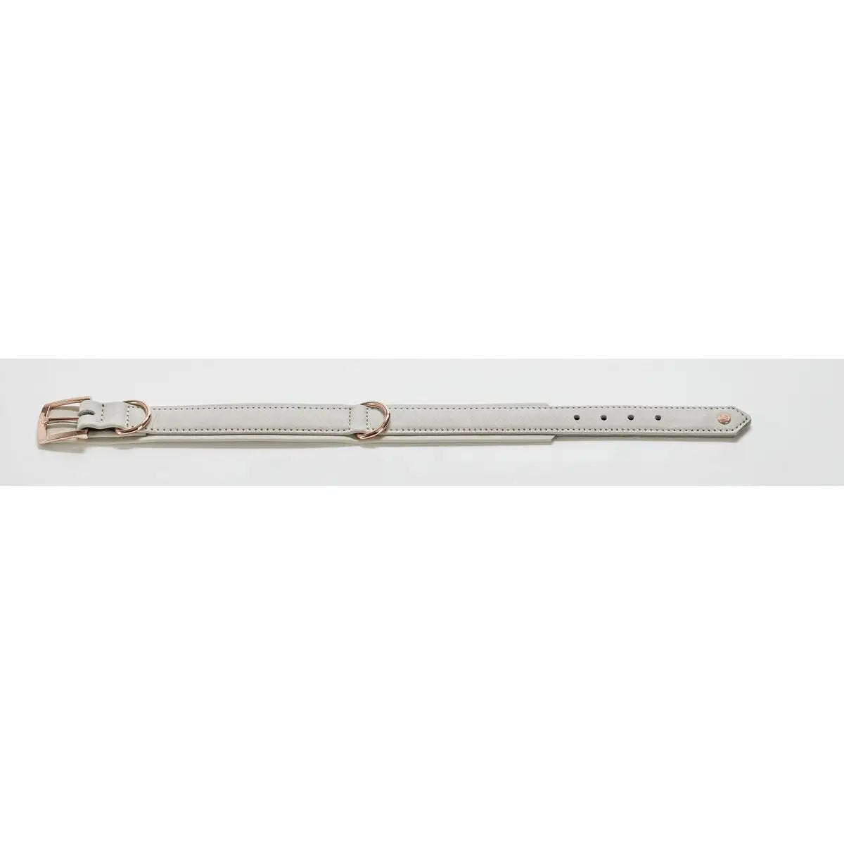 AMICI Dog Collar Light Grey