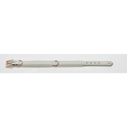 AMICI Dog Collar Light Grey