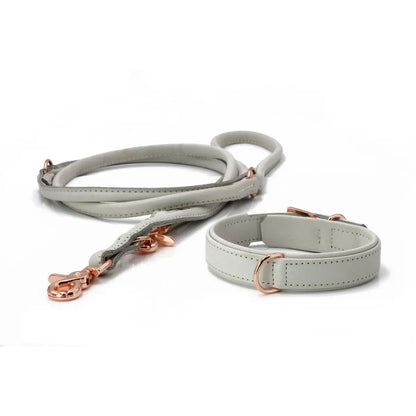 AMICI Dog Collar Light Grey