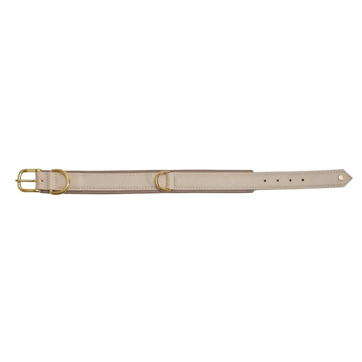 AMICI IVORY - Stilvolles Nappa-Halsband für modebewusste Hundefreunde