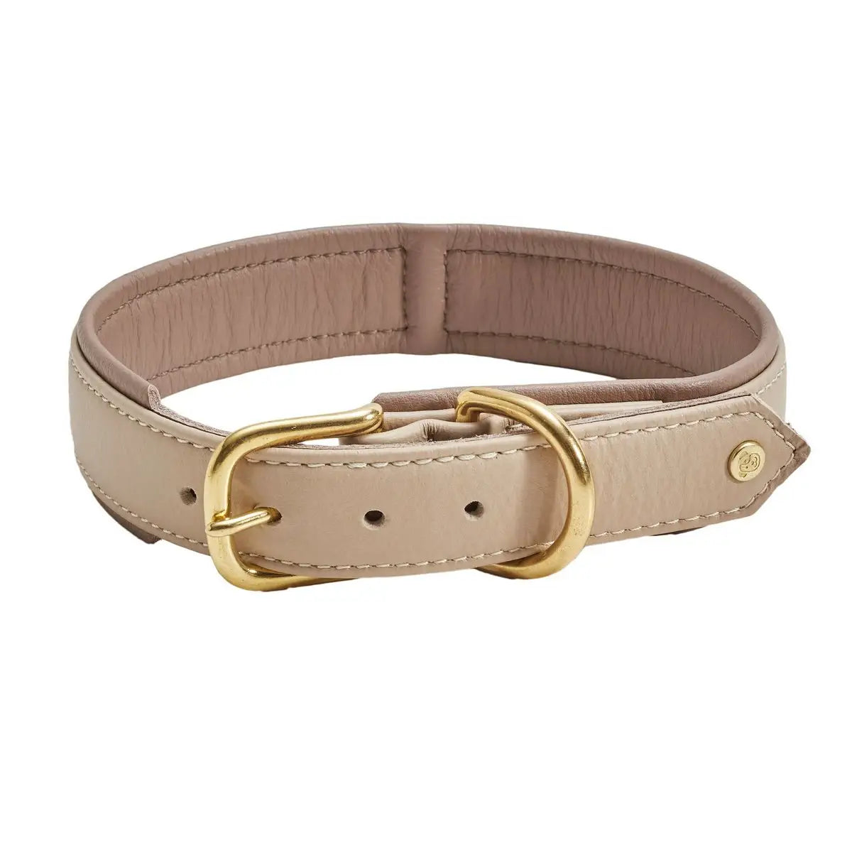 AMICI IVORY - Stilvolles Nappa-Halsband für modebewusste Hundefreunde