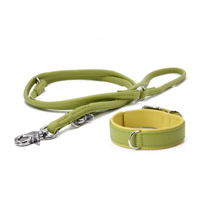 AMICI Lemon - Elegante Rundleine für modebewusste Hundefreunde