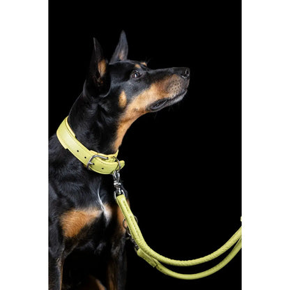AMICI Lemon - Elegante Rundleine für modebewusste Hundefreunde