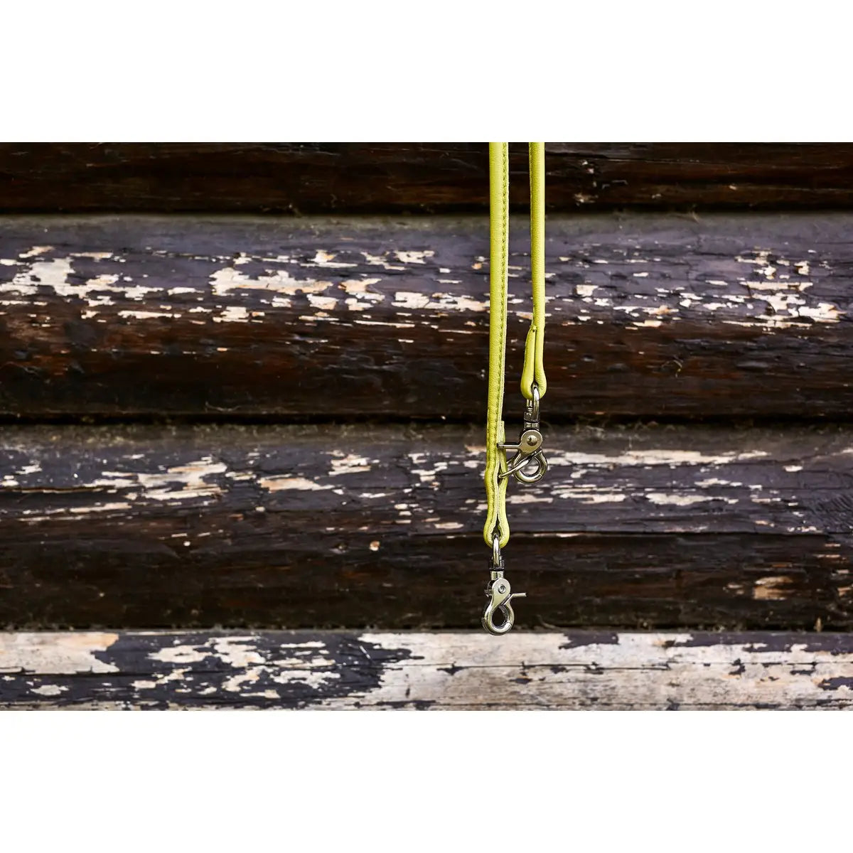AMICI Lemon - Elegante Rundleine für modebewusste Hundefreunde