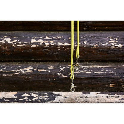 AMICI Lemon - Elegante Rundleine für modebewusste Hundefreunde