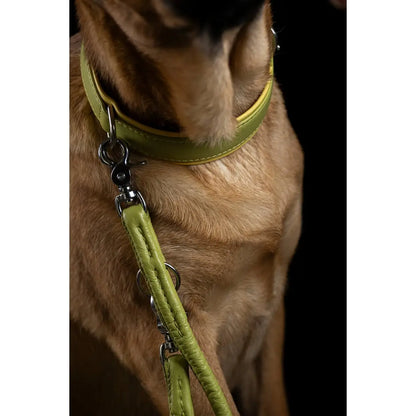 AMICI Lemon - Elegante Rundleine für modebewusste Hundefreunde