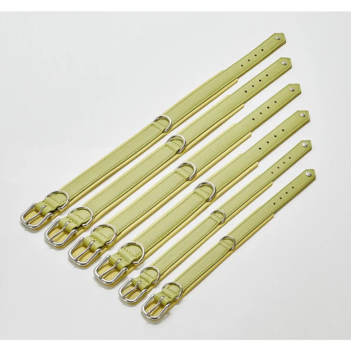 AMICI Lemon - Stilvolles Nappa-Halsband für modebewusste Hundefreunde