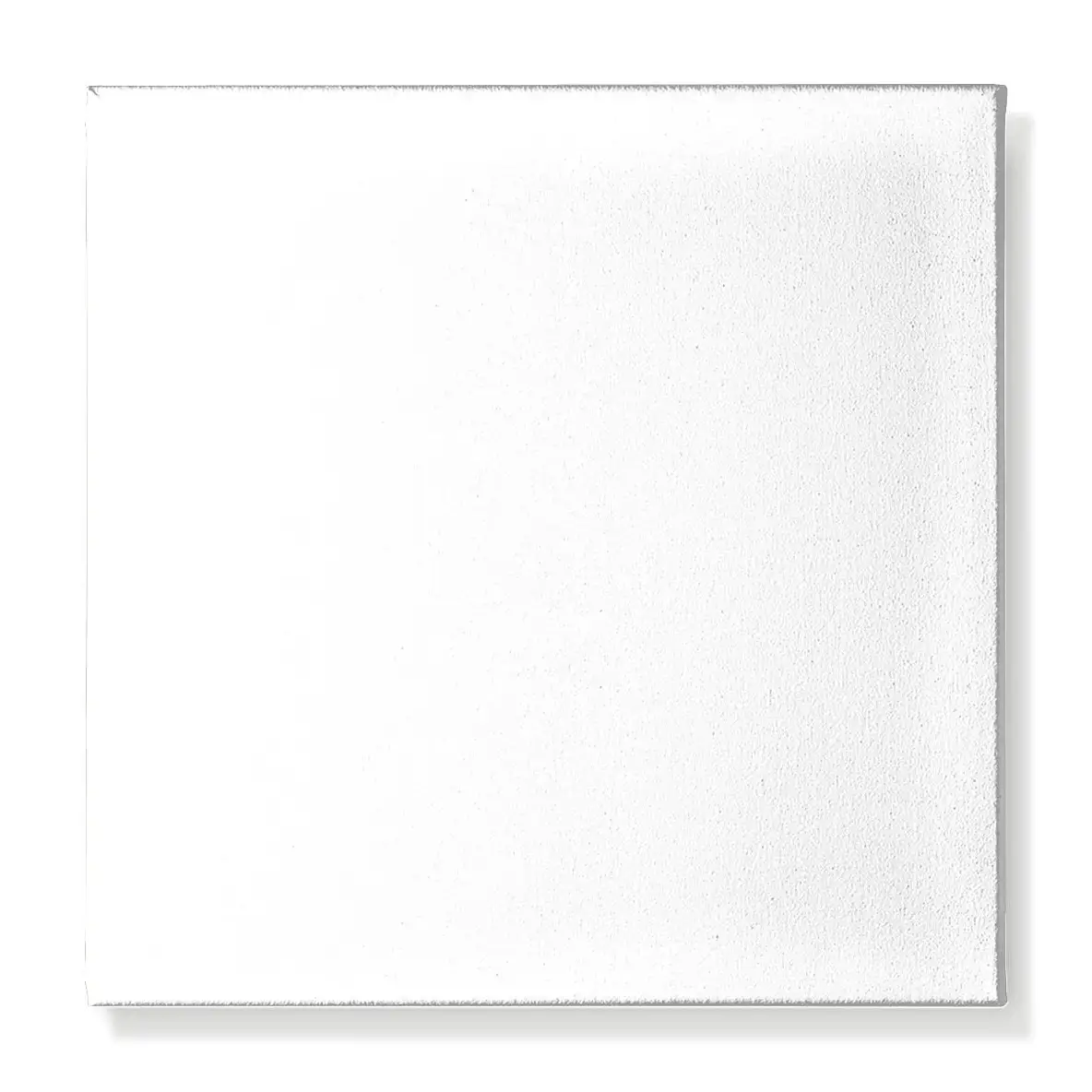 Artikel zum Nachbestellen/Mitbestellen - Leinwand 50x50cm