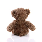 Fluffiger brauner bär bodo plüsch bär mit weichem lockigem fell und abgerundeten ohren als kuscheltier