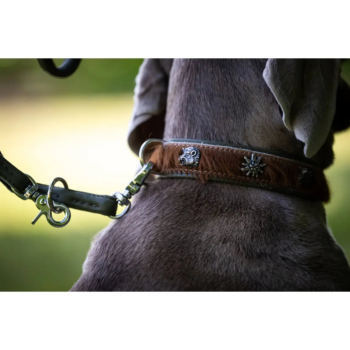 BAVARIA - Exklusives Hundehalsband im aufregenden Material-Mix