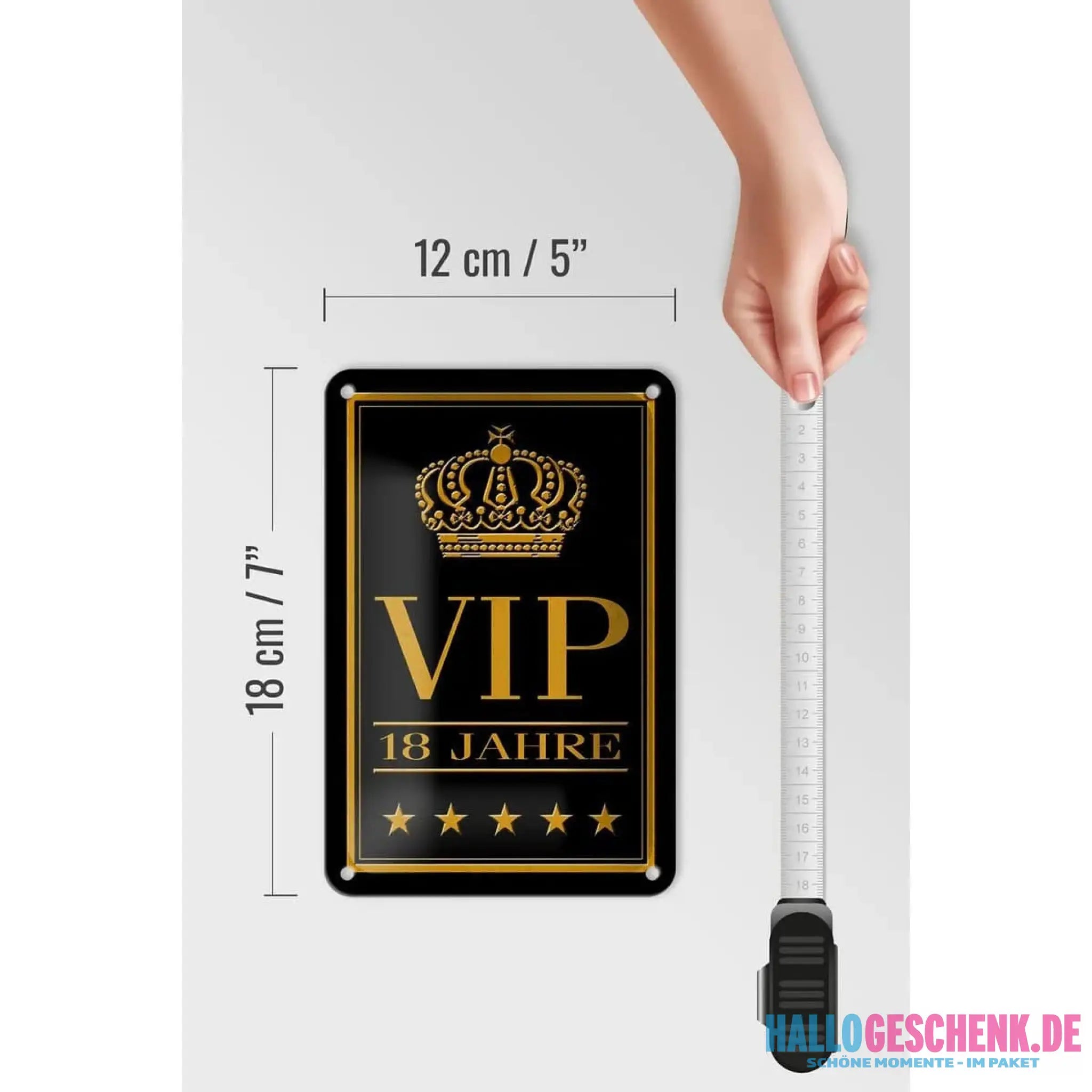 Blechschild Hinweis 12x18cm VIP 18 Jahre Geschenk Metall Deko Schild