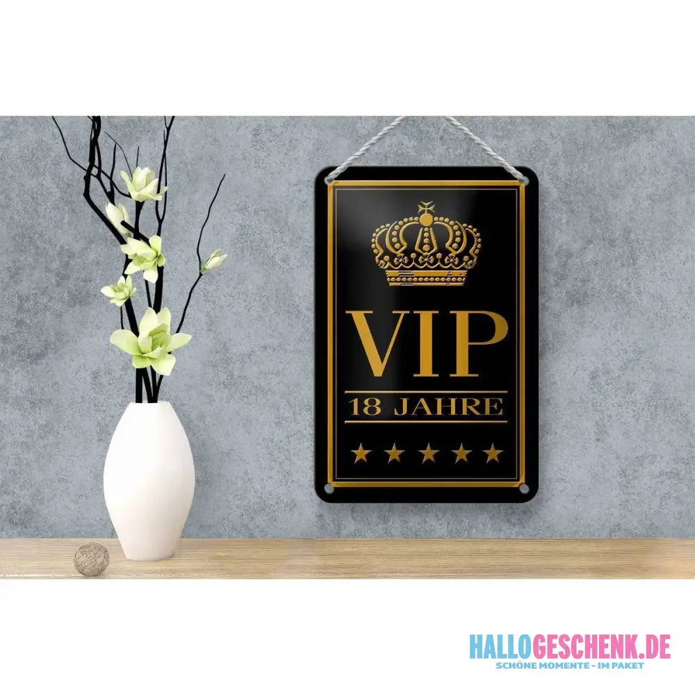 Blechschild Hinweis 12x18cm VIP 18 Jahre Geschenk Metall Deko Schild