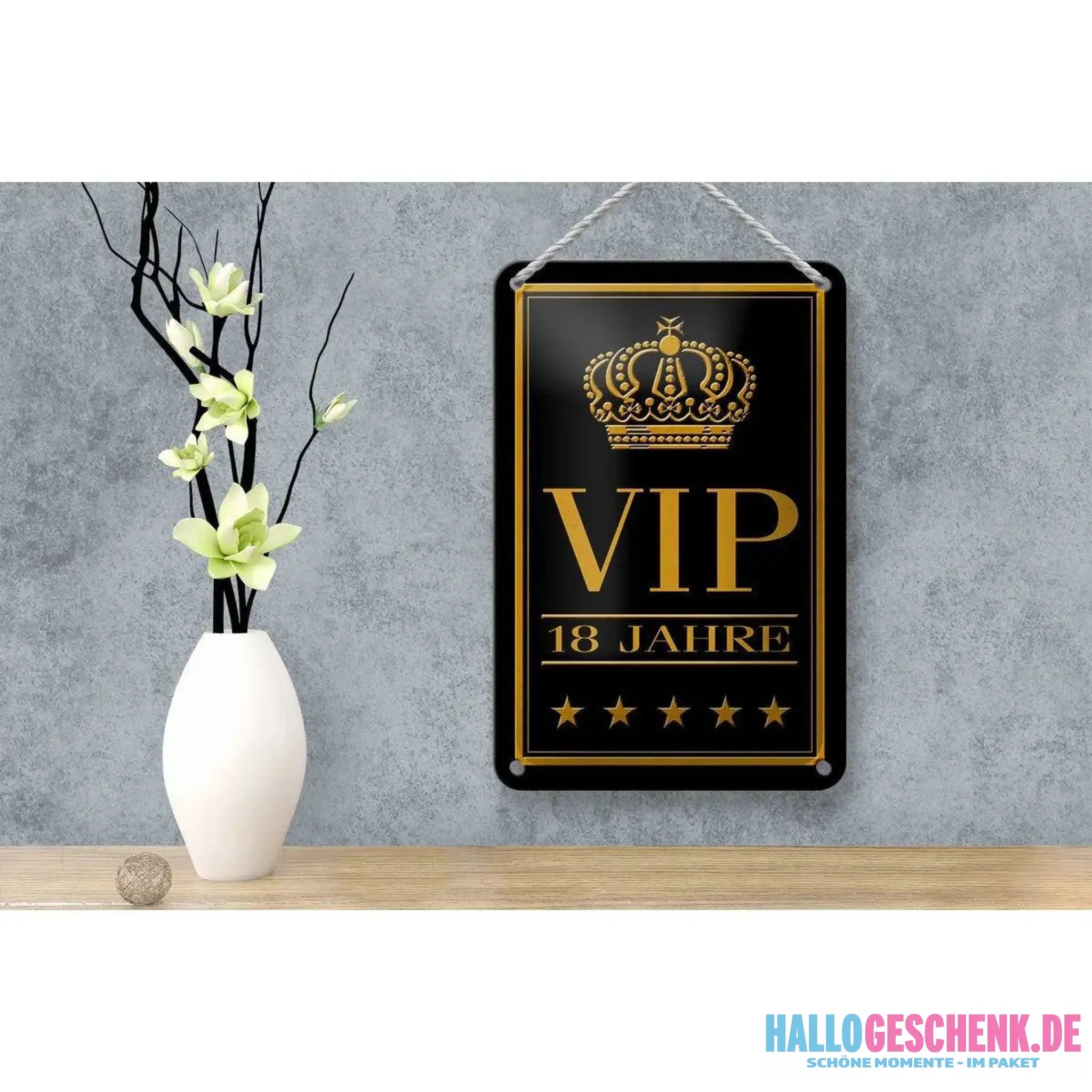 Blechschild Hinweis 12x18cm VIP 18 Jahre Geschenk Metall Deko Schild