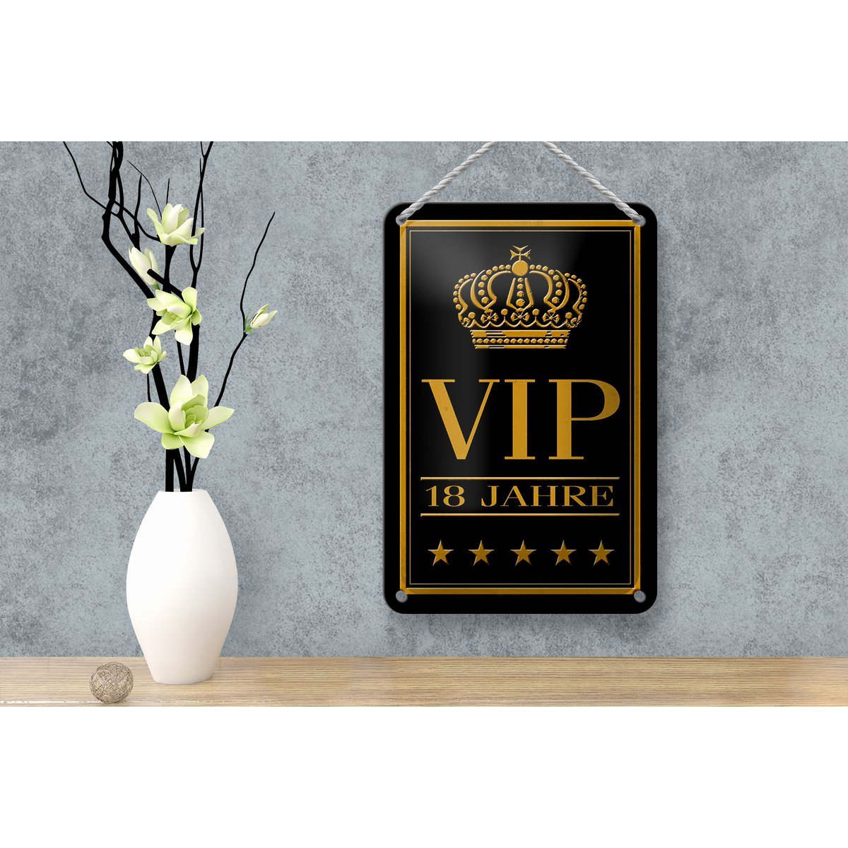 Blechschild Hinweis 12x18cm VIP 18 Jahre Geschenk Metall Deko Schild - HalloGeschenk.de