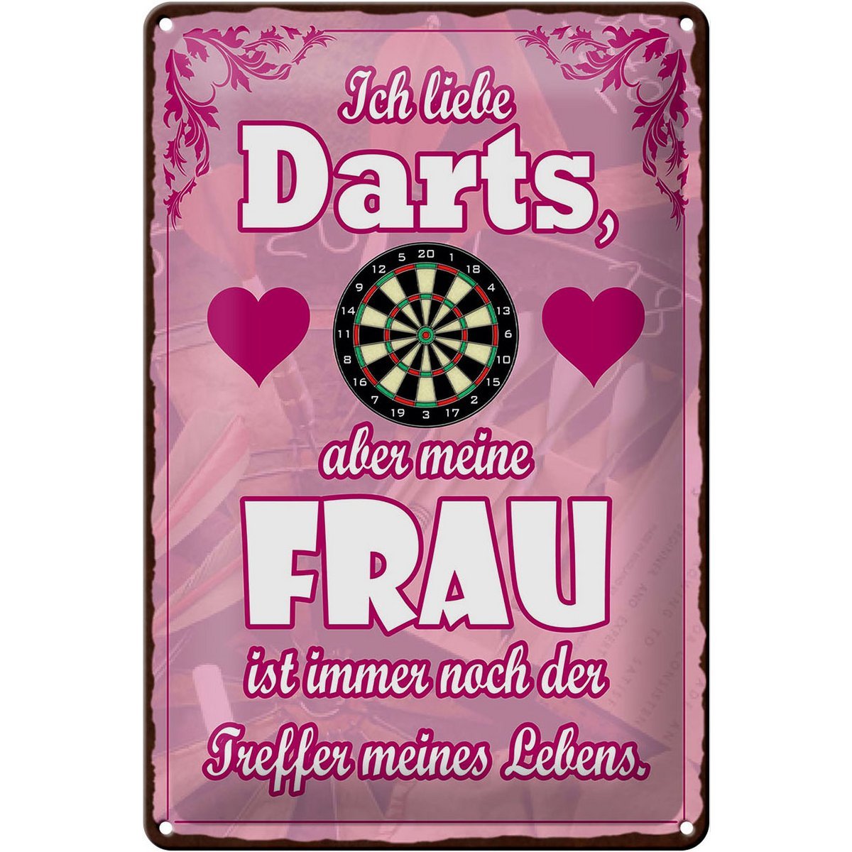 Blechschild Spruch 20x30cm Ich liebe Darts aber meine Frau