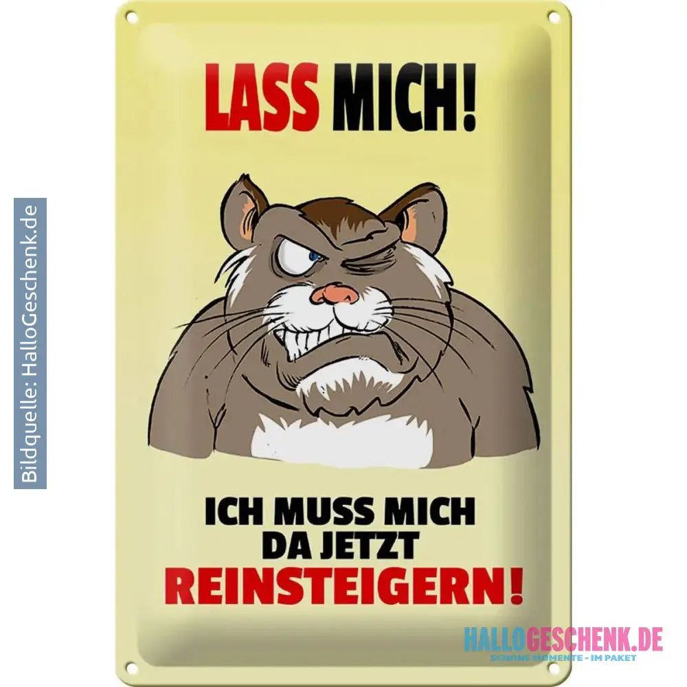 Blechschild Spruch 20x30cm Lass mich Muss mich da reinsteigern