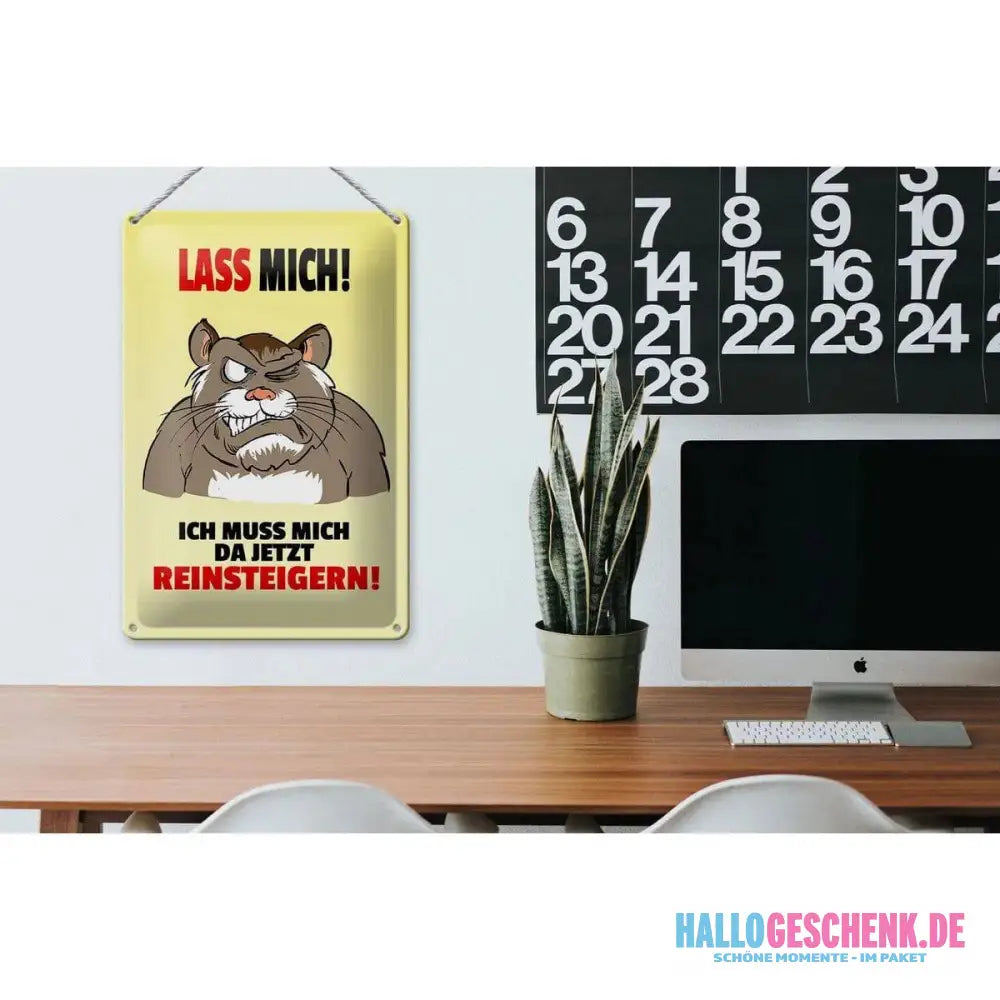 Blechschild Spruch 20x30cm Lass mich Muss mich da reinsteigern