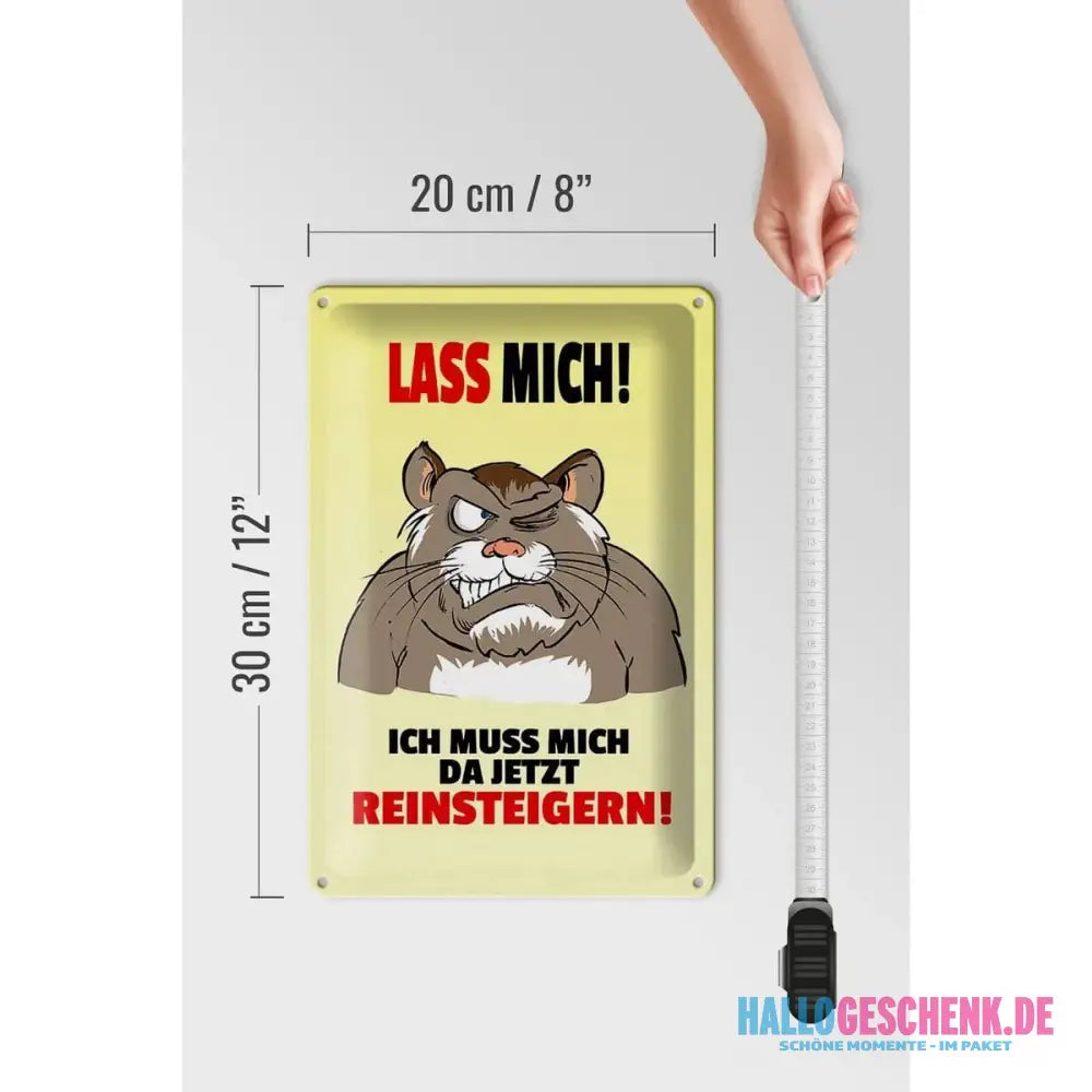 Blechschild Spruch 20x30cm Lass mich Muss mich da reinsteigern
