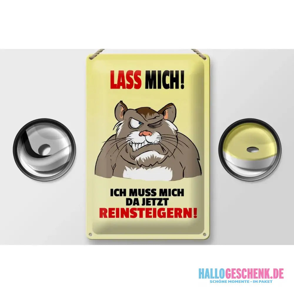 Blechschild Spruch 20x30cm Lass mich Muss mich da reinsteigern