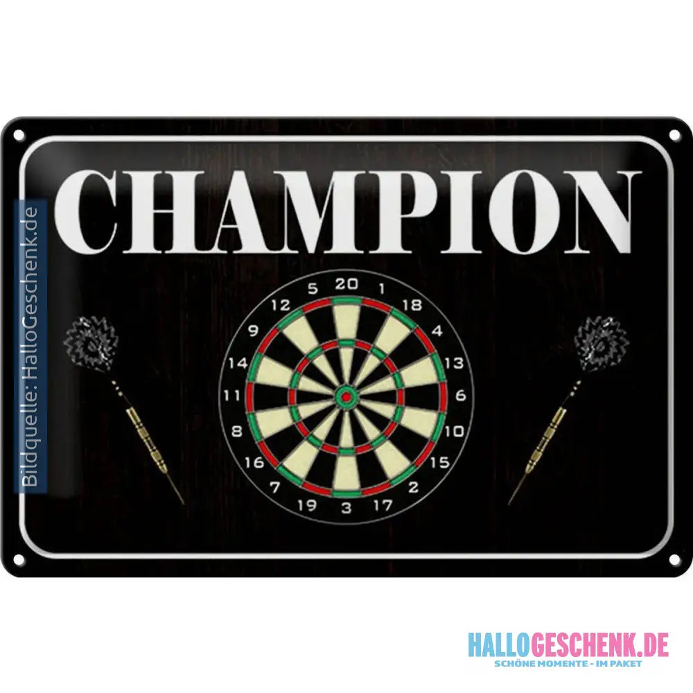 Blechschild Spruch 30x20cm Darts Champion