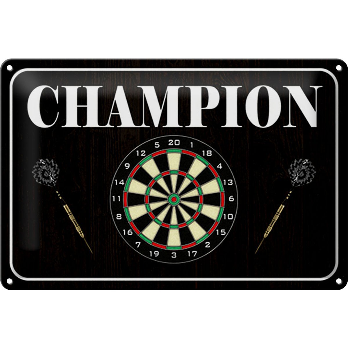 Blechschild Spruch 30x20cm Darts Champion