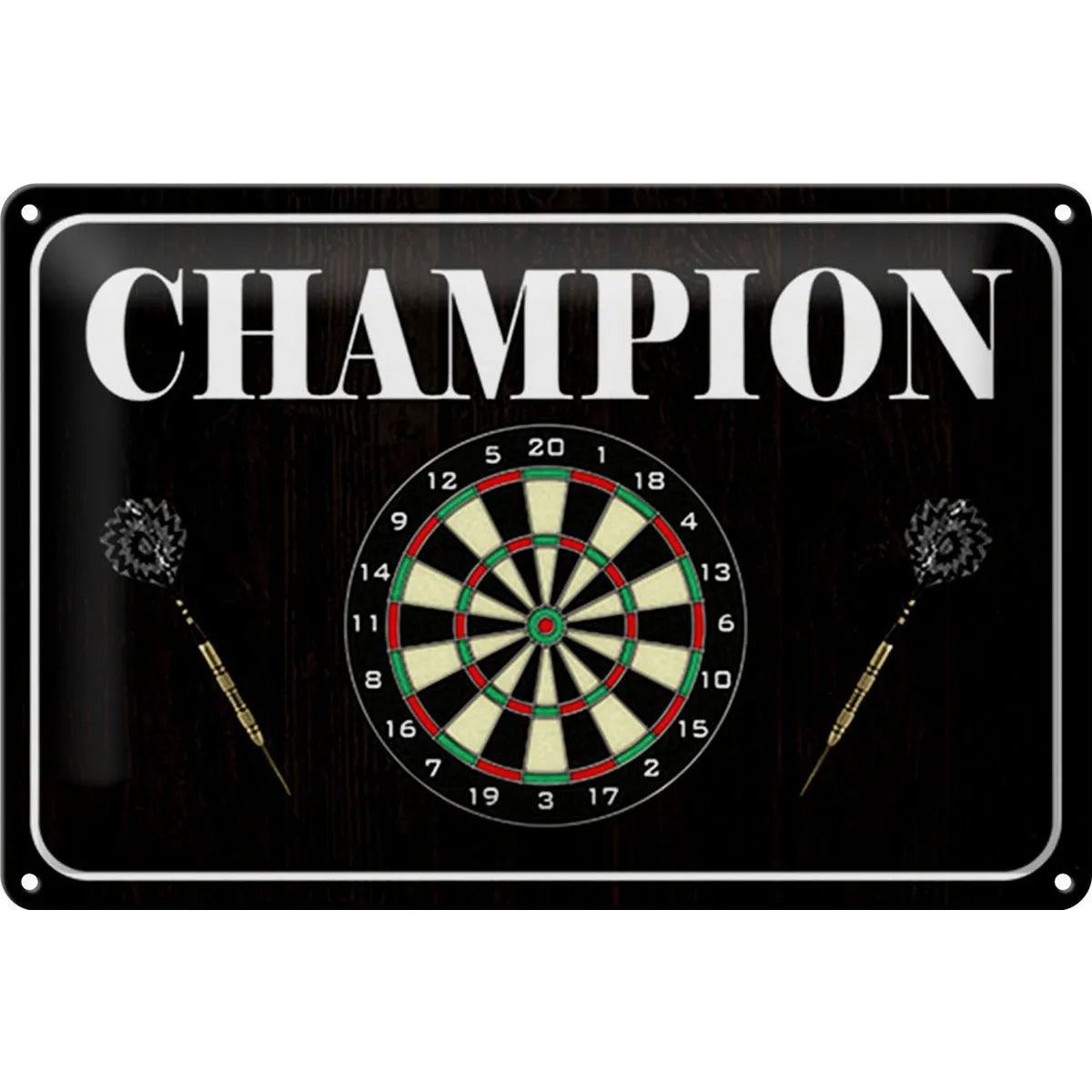 Blechschild Spruch 30x20cm Darts Champion von HalloGeschenk.de