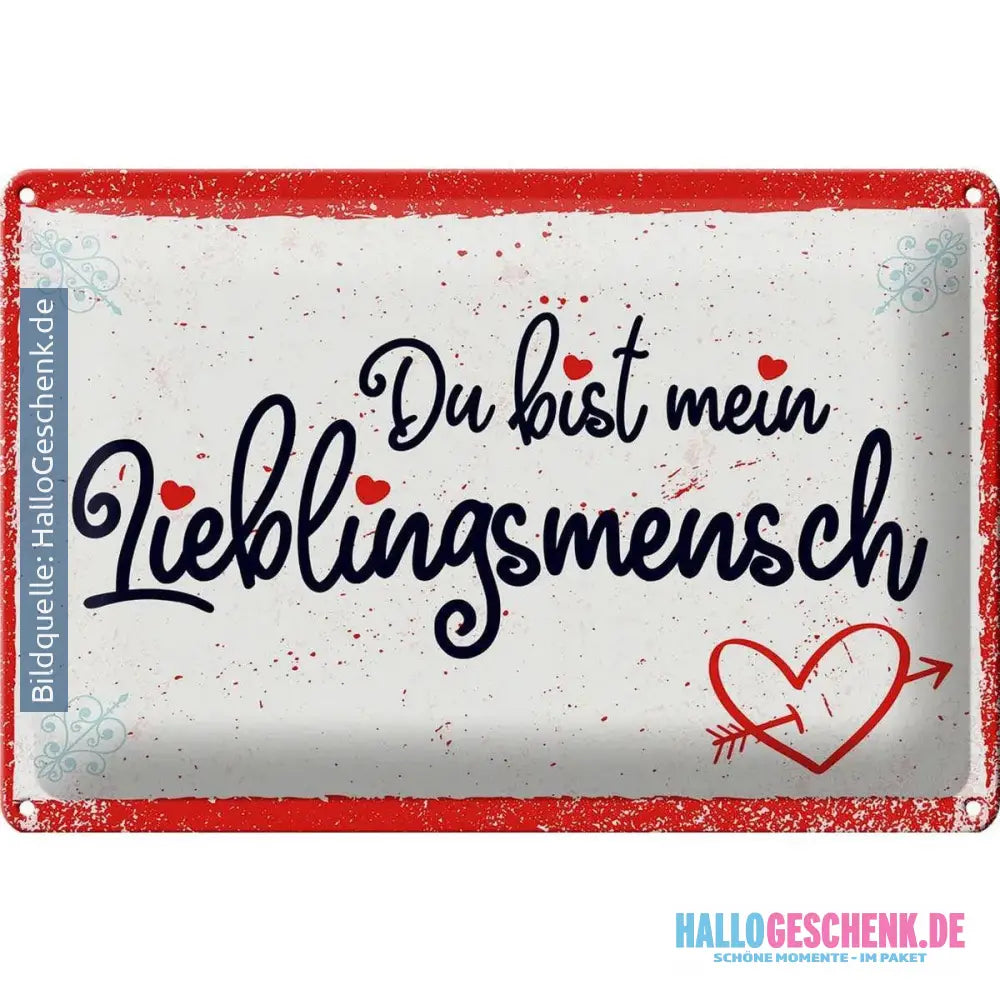 Blechschild Spruch 30x20cm Du bist mein Lieblingsmensch