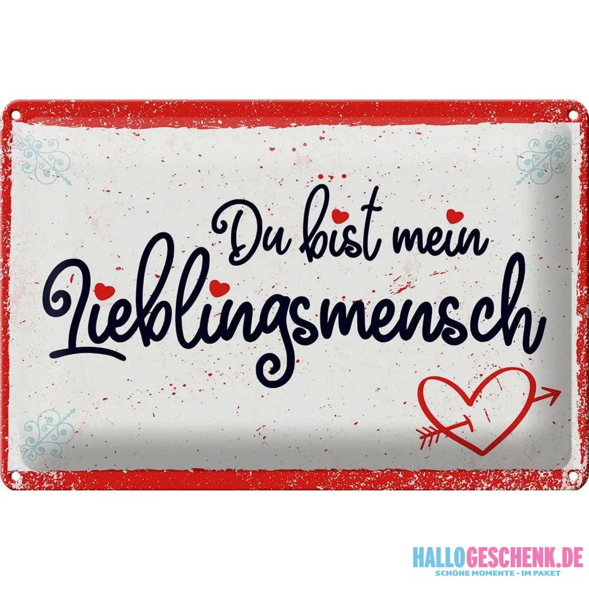 Blechschild Spruch 30x20cm Du bist mein Lieblingsmensch