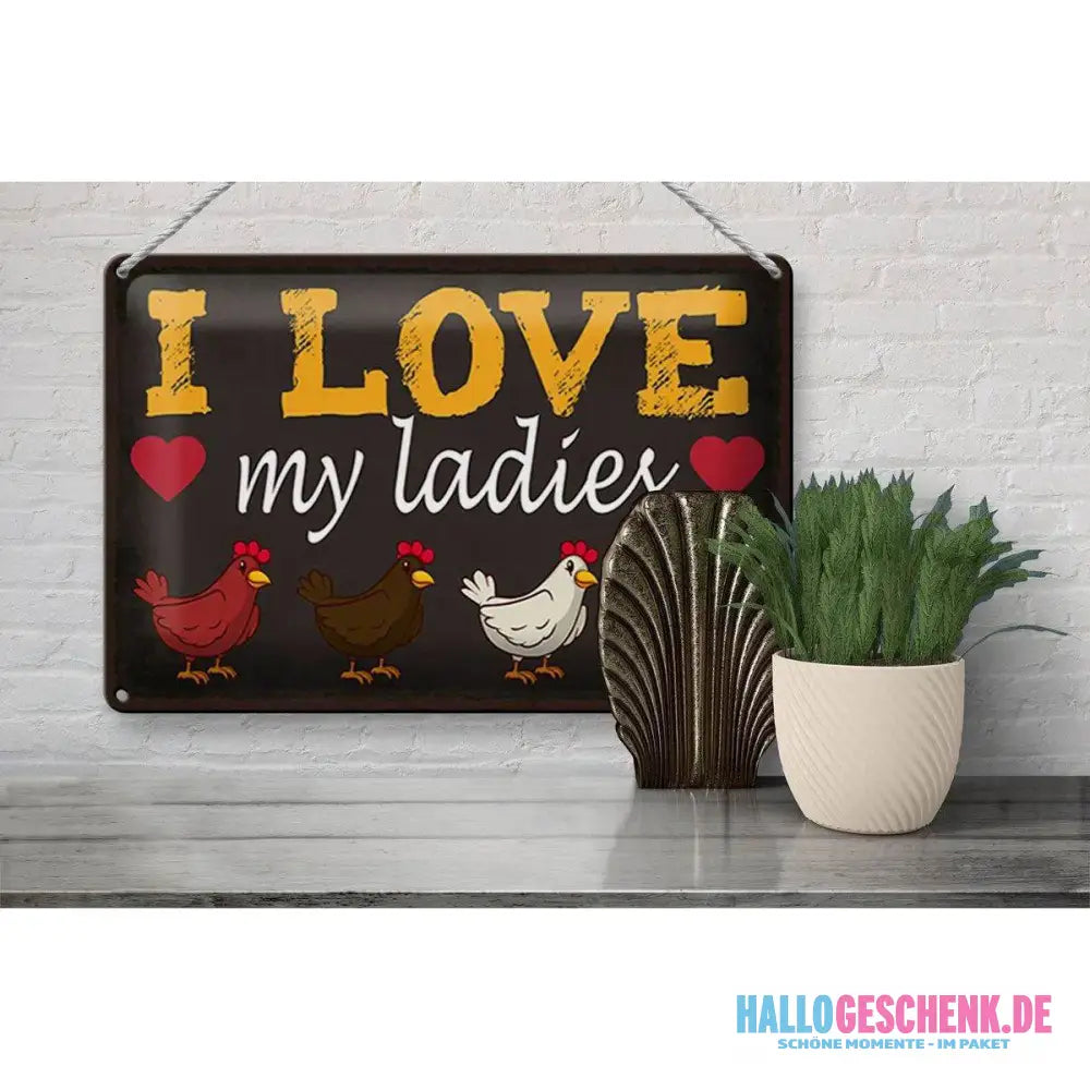 Blechschild Spruch 30x20cm Hühner i love my ladies