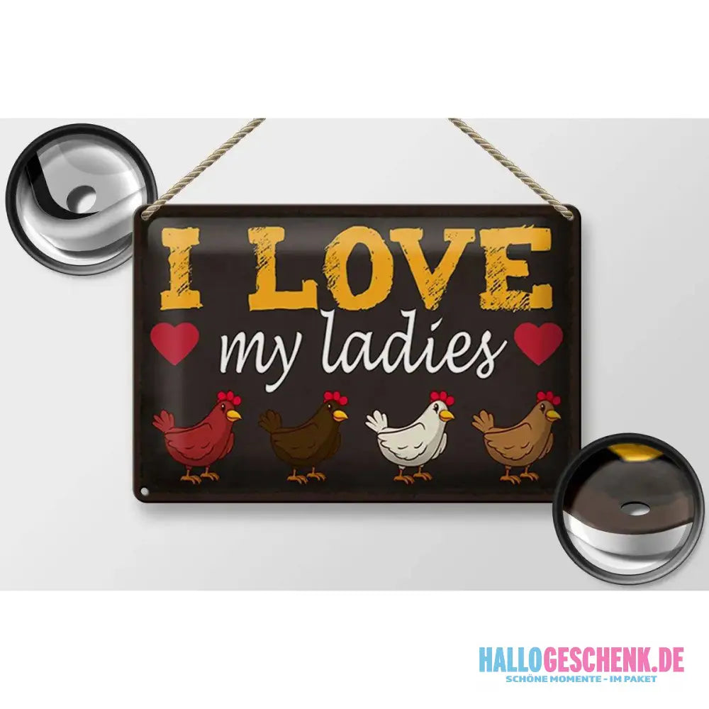 Blechschild Spruch 30x20cm Hühner i love my ladies