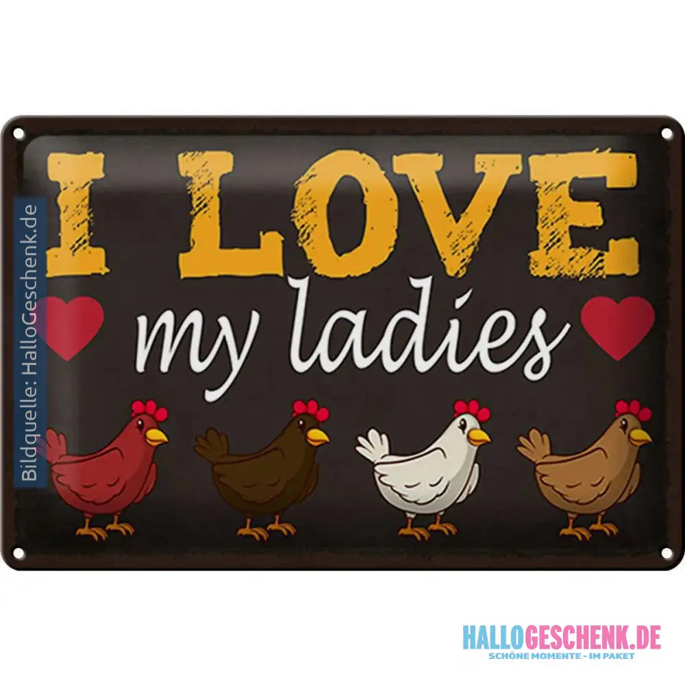 Blechschild Spruch 30x20cm Hühner i love my ladies